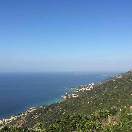 Ajaccio Magnifique T2 Neuf 40M2 Avec Balcon Au Trottel 4 Couchages Wifi Clim Parking Plage A Pieds 100M Eksteriør bilde
