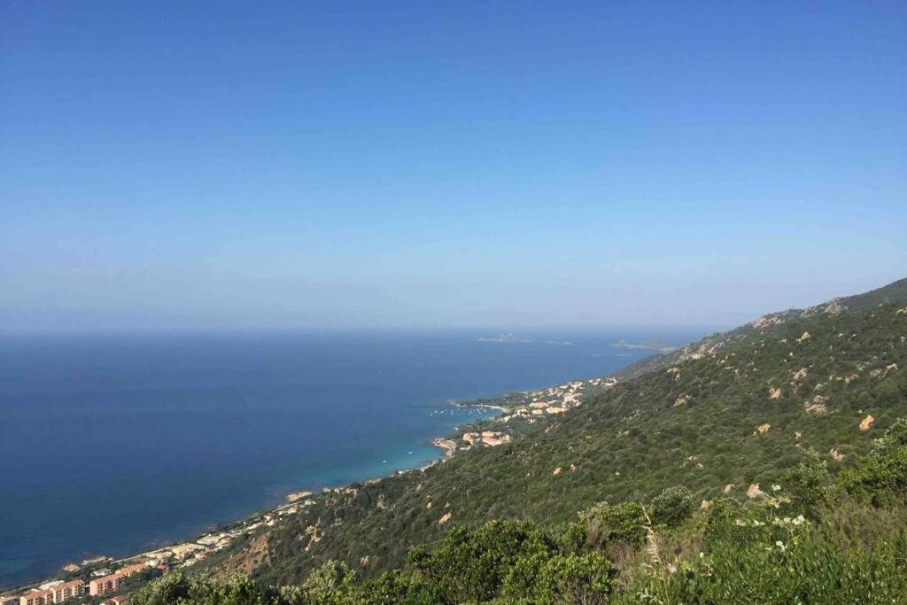 Ajaccio Magnifique T2 Neuf 40M2 Avec Balcon Au Trottel 4 Couchages Wifi Clim Parking Plage A Pieds 100M Eksteriør bilde
