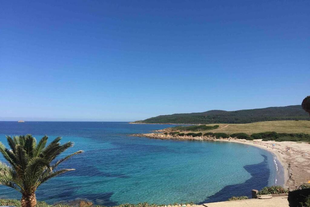 Ajaccio Magnifique T2 Neuf 40M2 Avec Balcon Au Trottel 4 Couchages Wifi Clim Parking Plage A Pieds 100M Eksteriør bilde