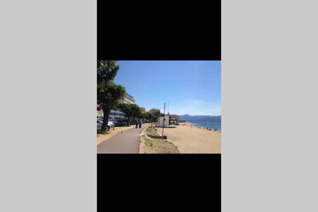 Ajaccio Magnifique T2 Neuf 40M2 Avec Balcon Au Trottel 4 Couchages Wifi Clim Parking Plage A Pieds 100M Eksteriør bilde