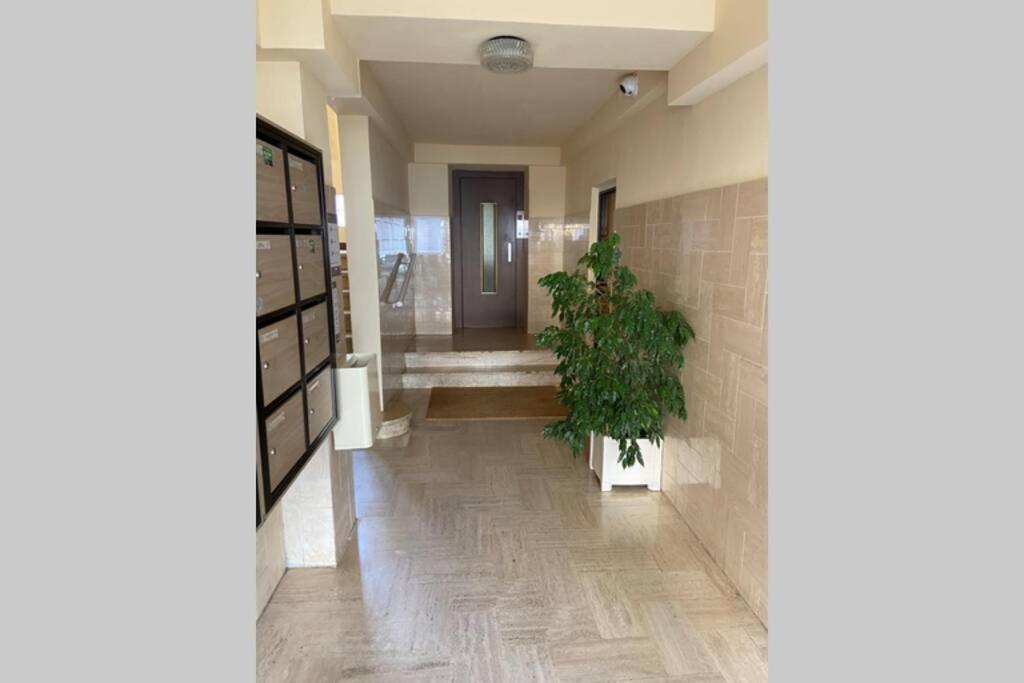 Ajaccio Magnifique T2 Neuf 40M2 Avec Balcon Au Trottel 4 Couchages Wifi Clim Parking Plage A Pieds 100M Eksteriør bilde