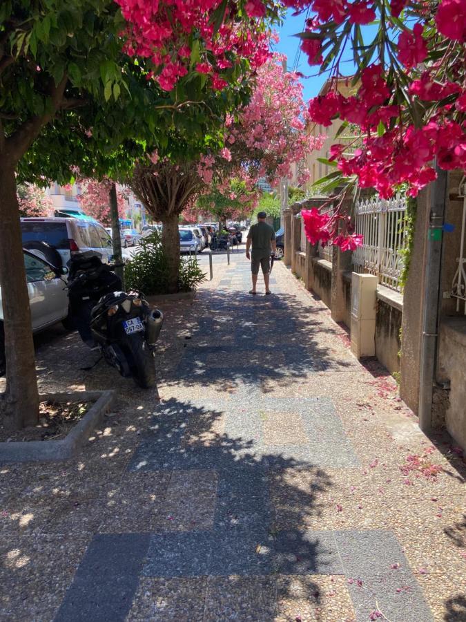 Ajaccio Magnifique T2 Neuf 40M2 Avec Balcon Au Trottel 4 Couchages Wifi Clim Parking Plage A Pieds 100M Eksteriør bilde