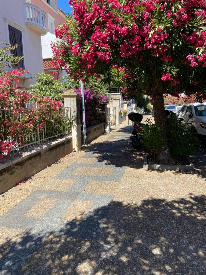 Ajaccio Magnifique T2 Neuf 40M2 Avec Balcon Au Trottel 4 Couchages Wifi Clim Parking Plage A Pieds 100M Eksteriør bilde